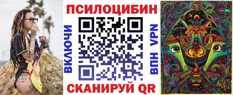 цена наркотик  Циолковский  Галлюциногенные грибы Magic Shrooms 